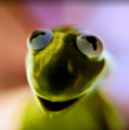 Thumbnail for version as of 11:26, 28 October 2018